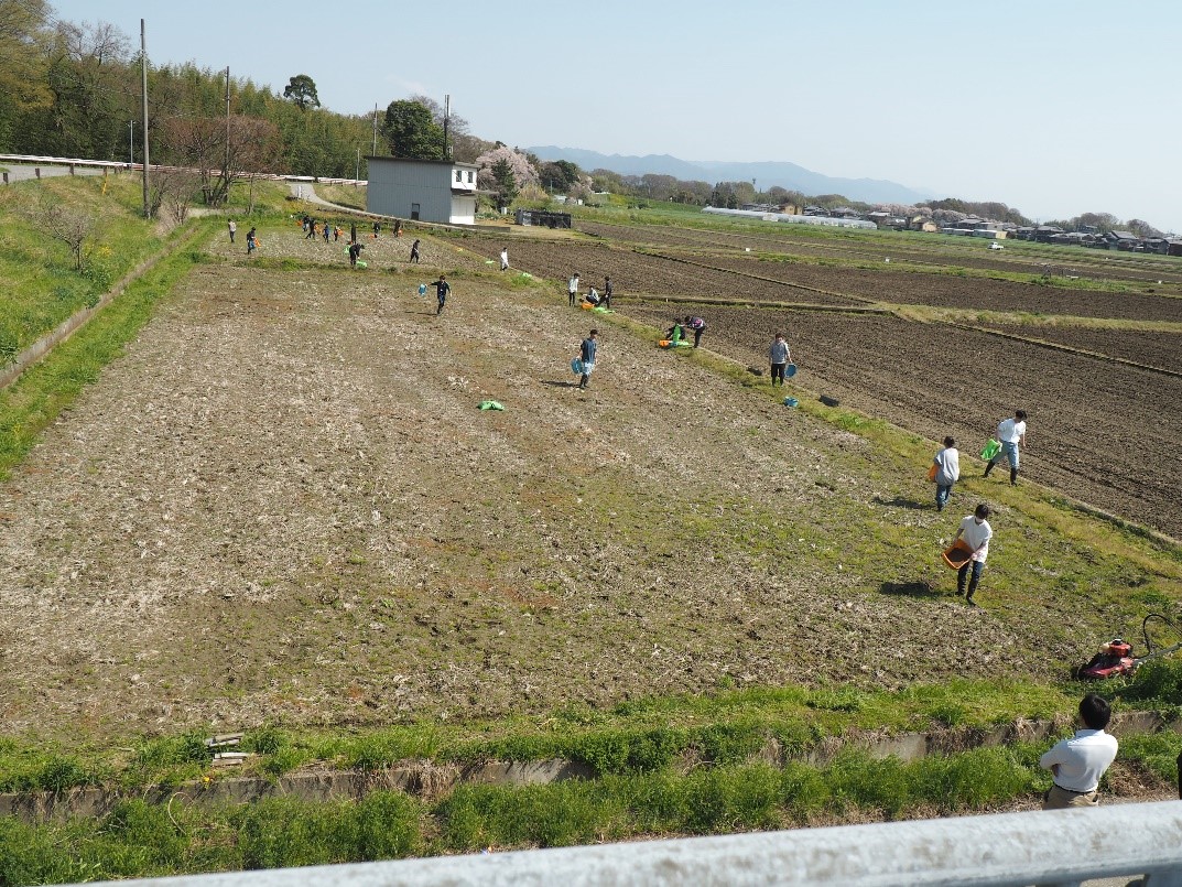 施肥作業